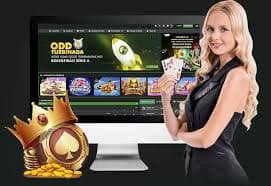 ivip9